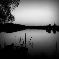 /album/grabbepflanzung/photolia-b01-jpg/